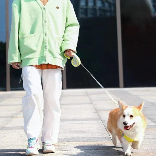 Laisse-pour-chien-liberte-ZippyPaw