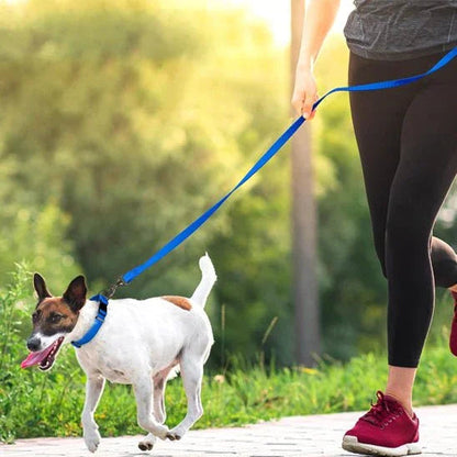 Longe-pour-chien-sport-DogHorizon