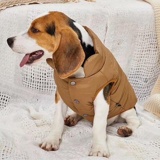 Manteau-chien-Cafe-DoggyCozy