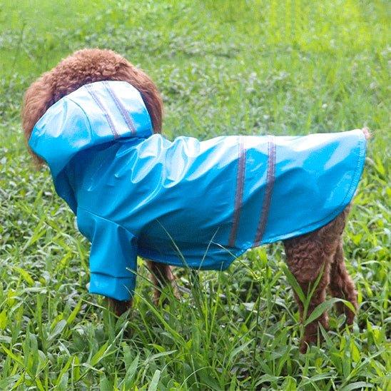 Manteau-chien-Bleu-RainPup
