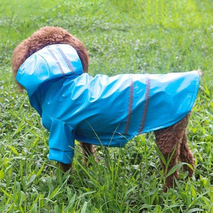 Manteau-chien-Bleu-RainPup