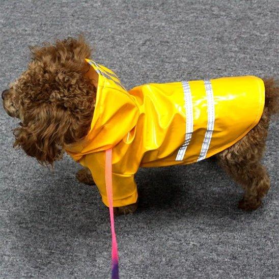 Manteau-chien-Jaune-RainPup