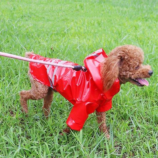 Manteau-chien-Rouge-RainPup
