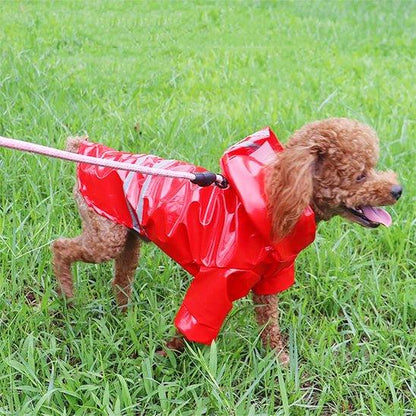Manteau-chien-Rouge-RainPup