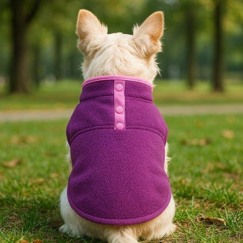 Manteau-chien-Violet-SoftPup