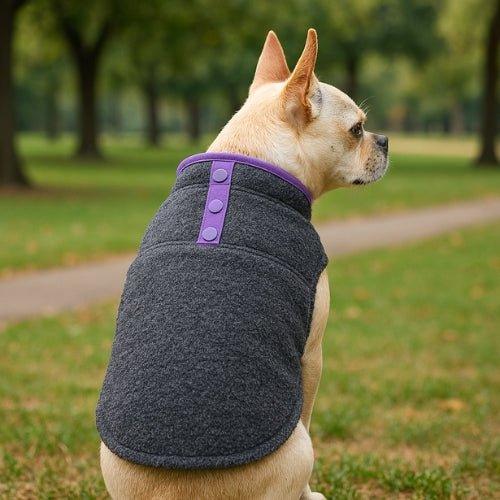 Manteau-chien-Gris-SoftPup