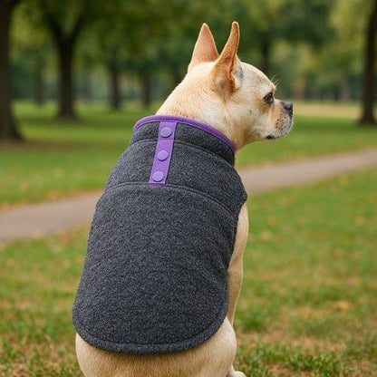 Manteau-chien-Gris-SoftPup
