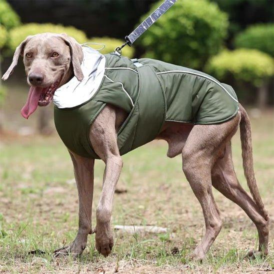 Manteau-chien-Vert-StormGuard