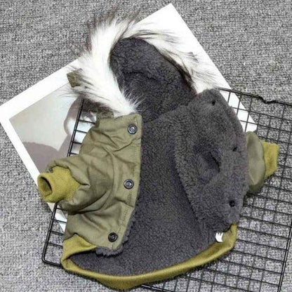 Manteau-chien-Qualite-WarmHood
