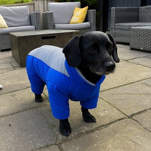Manteau-pour-chien-Bleu-ArcticPup