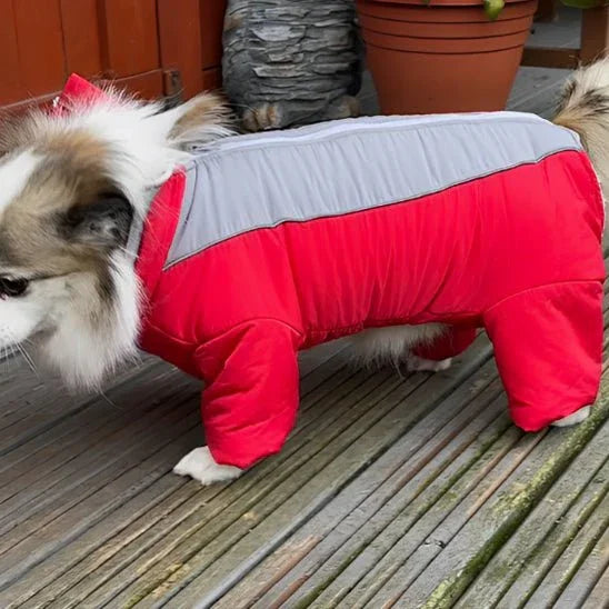 Manteau-pour-chien-Rouge-ArcticPup