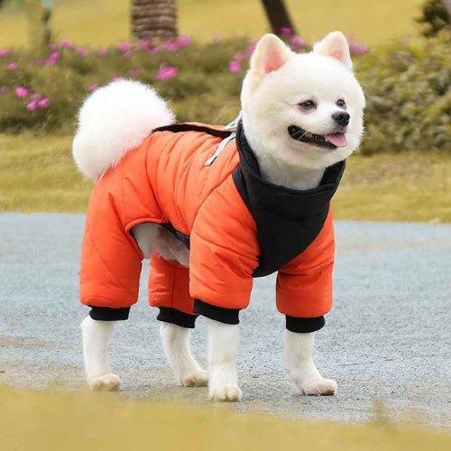 Manteau-pour-chien-Confort-NordikDog