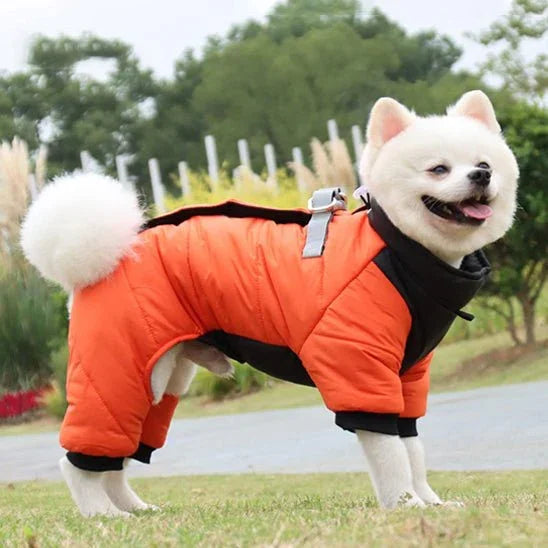 Manteau-pour-chien-Orange-NordikDog