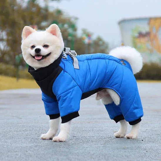 Manteau-pour-chien-Bleu-NordikDog
