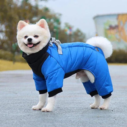 Manteau-pour-chien-Bleu-NordikDog