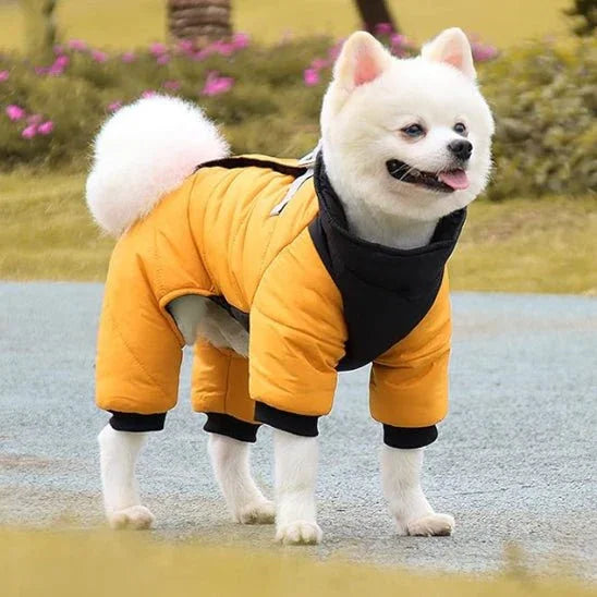 Manteau-pour-chien-Jaune-NordikDog