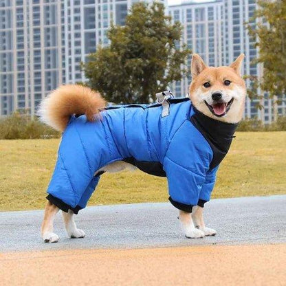 Manteau-pour-chien-Promenade-NordikDog