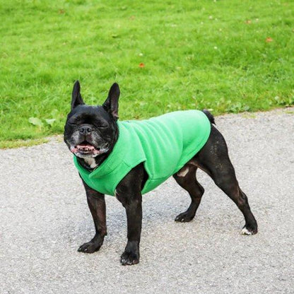 Manteau-pour-chien-Vert-PolairPup