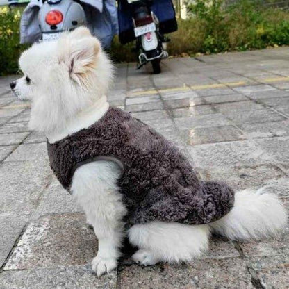 Manteau-pour-chien-Marche-WarmPaws