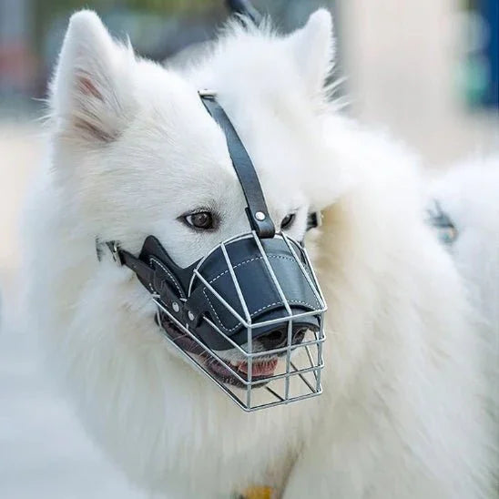 Museliere-chien-Noir-IronMuzzle