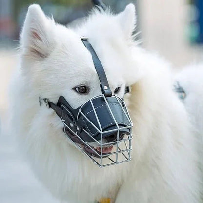 Museliere-chien-Noir-IronMuzzle