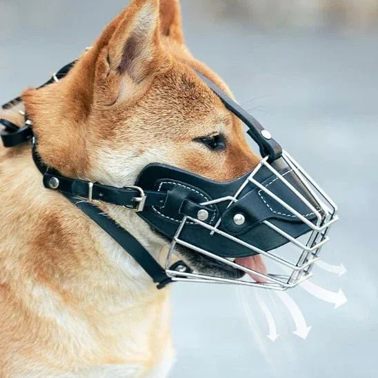 Museliere-chien-Confort-IronMuzzle