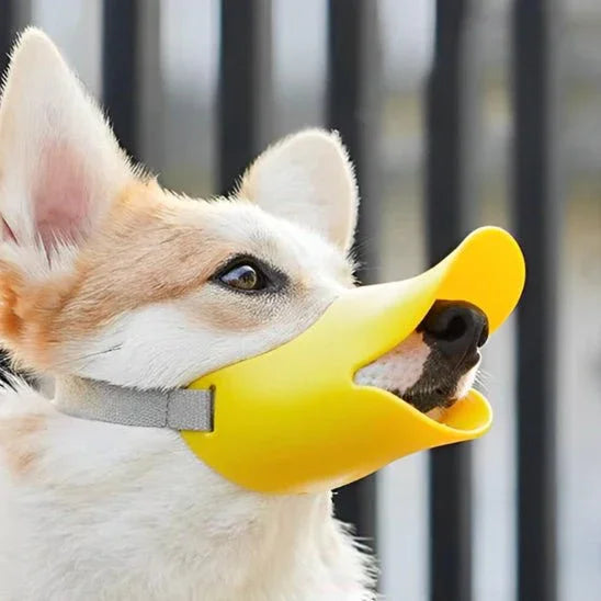 Museliere-chien-Marche-QuackMuzzle