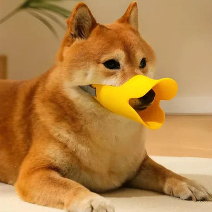 Museliere-chien-Jaune-QuackMuzzle
