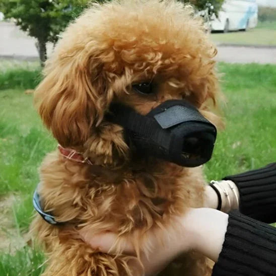 Museliere-chien-Confort-SafeBite