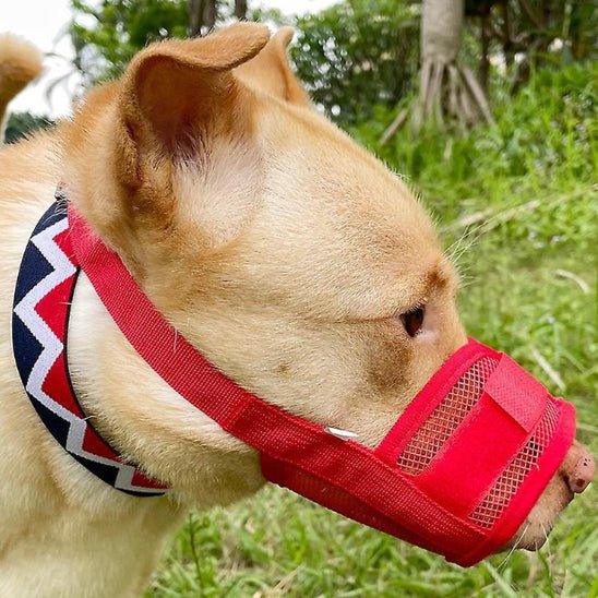 Museliere-chien-Rouge-SafeBite