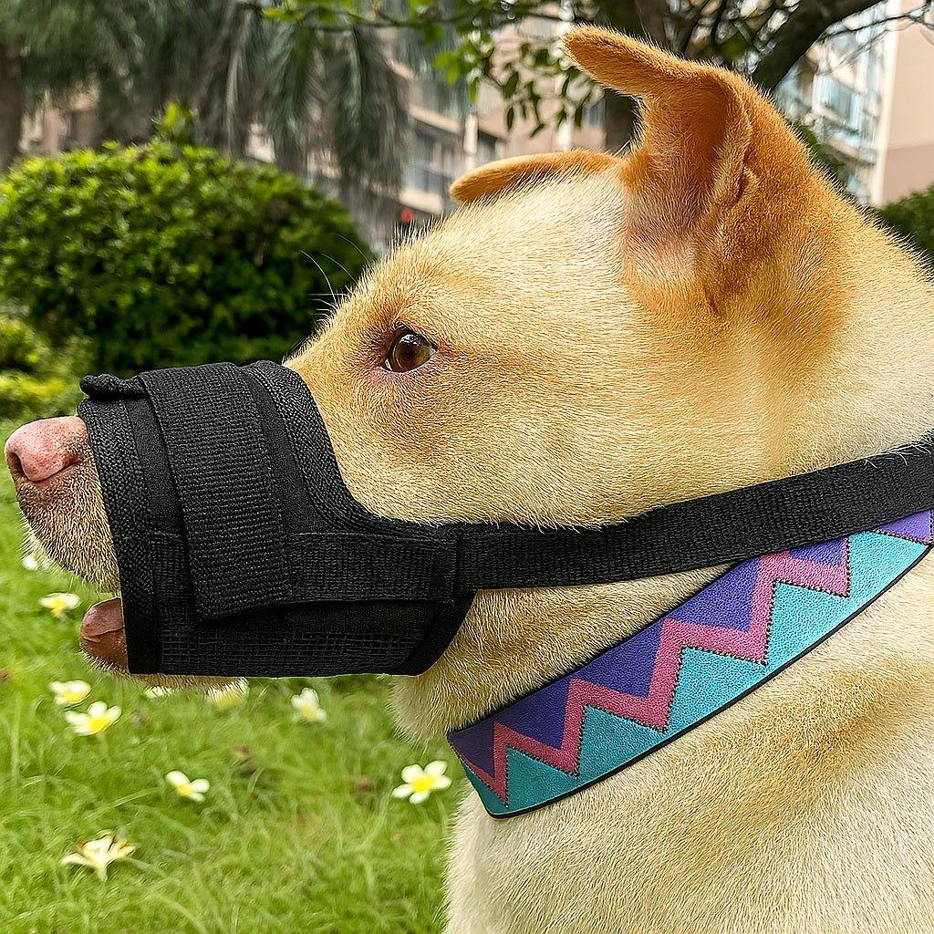 Museliere-chien-Noir-SafeBite