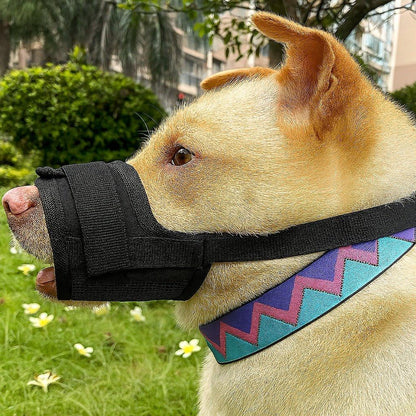 Museliere-chien-Noir-SafeBite