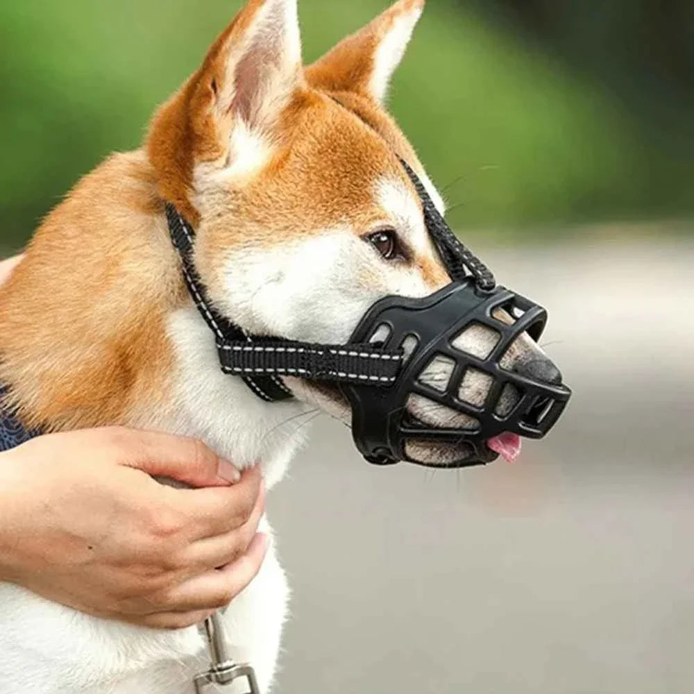 Museliere-chien-Noir-SafeMuzzle