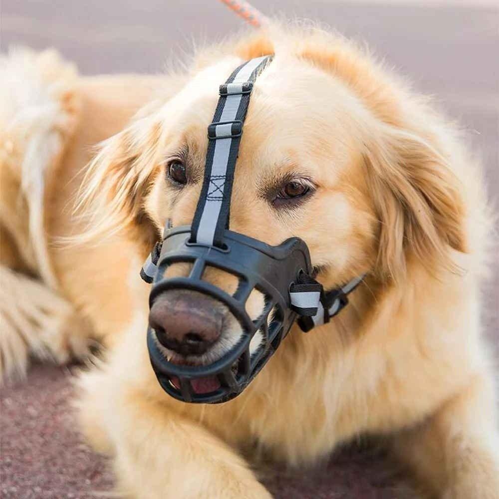 Museliere-chien-Securite-SafeMuzzle