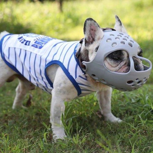 Museliere-Marche-MuzzleGuard