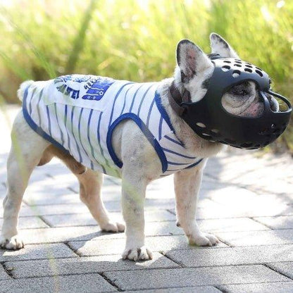 Museliere-Confort-MuzzleGuard