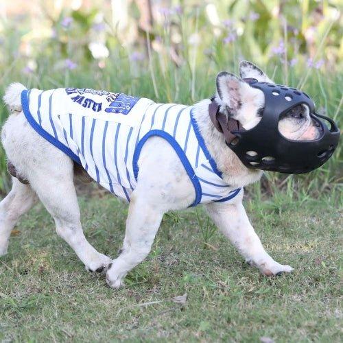 Museliere-Promenade-MuzzleGuard