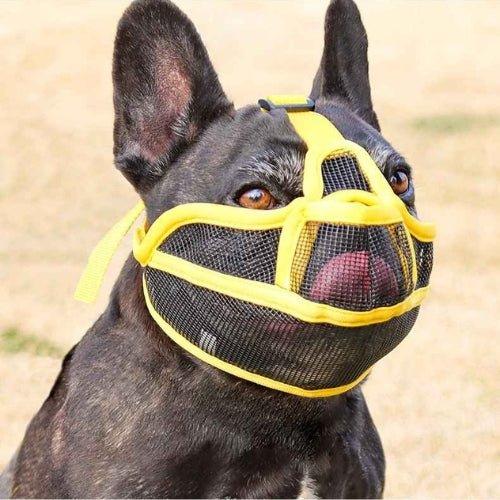 Museliere-pour-chien-Jaune-AirMuzzle