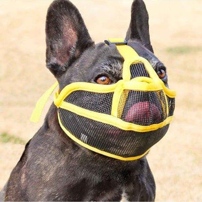 Museliere-pour-chien-Jaune-AirMuzzle