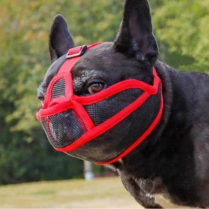 Museliere-pour-chien-Rouge-AirMuzzle