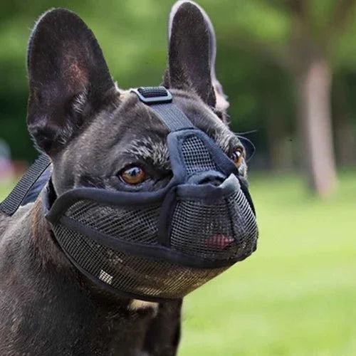 Museliere-pour-chien-Noir-AirMuzzle