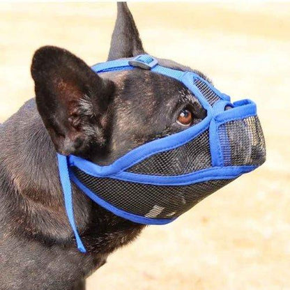 Museliere-pour-chien-Bleu-AirMuzzle