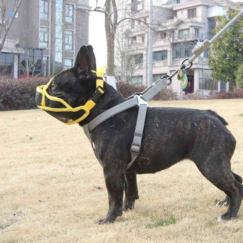 Museliere-pour-chien-Promenade-AirMuzzle