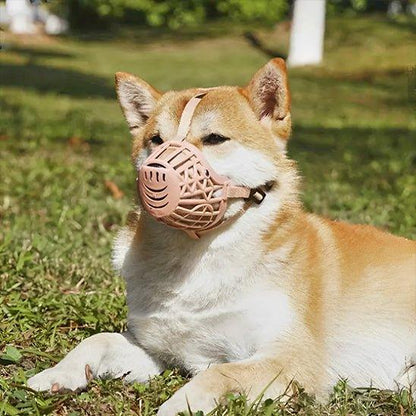 Museliere-pour-chien-Marche-MuseFlex