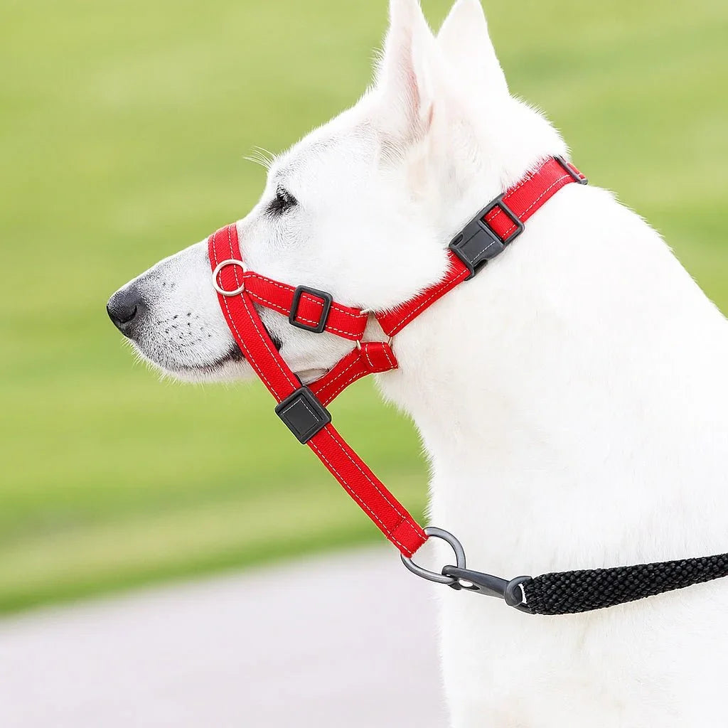 Museliere-pour-chien-Rouge-SafeWalk