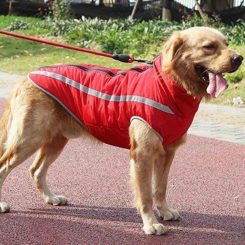 Vetement-chien-Rouge-BrightWalk