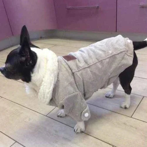 Vetement-chien-Gris-ClassicWoof