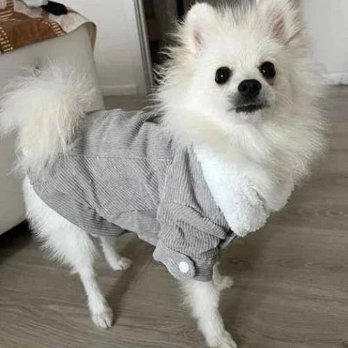 Vetement-chien-Promenade-ClassicWoof