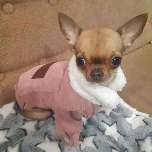 Vetement-chien-Rose-ClassicWoof