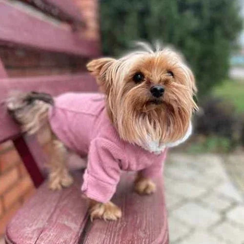 Vetement-chien-Plaisir-ClassicWoof